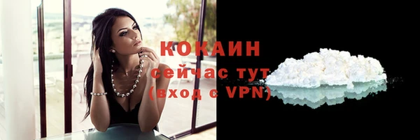 стаф Богородицк