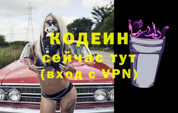 спиды Богородск
