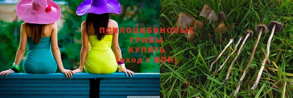 марки nbome Богданович